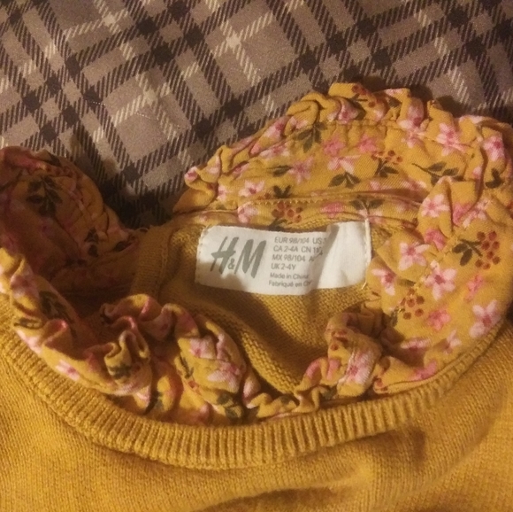 H&M dress size 2-4T - Picture 3 of 6